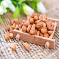 chinese bulk organic dried fruit pine nuts